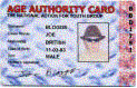 _driver_license international_driver_license , _driver_license , _driver_permit , _driver_permit